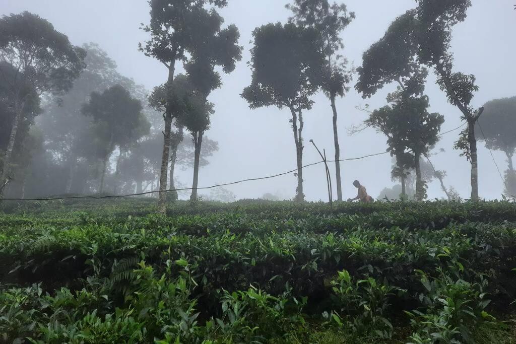 Farmstay In ചില്ലുകൂടാരം At Les Domki Et Al. バガモン エクステリア 写真
